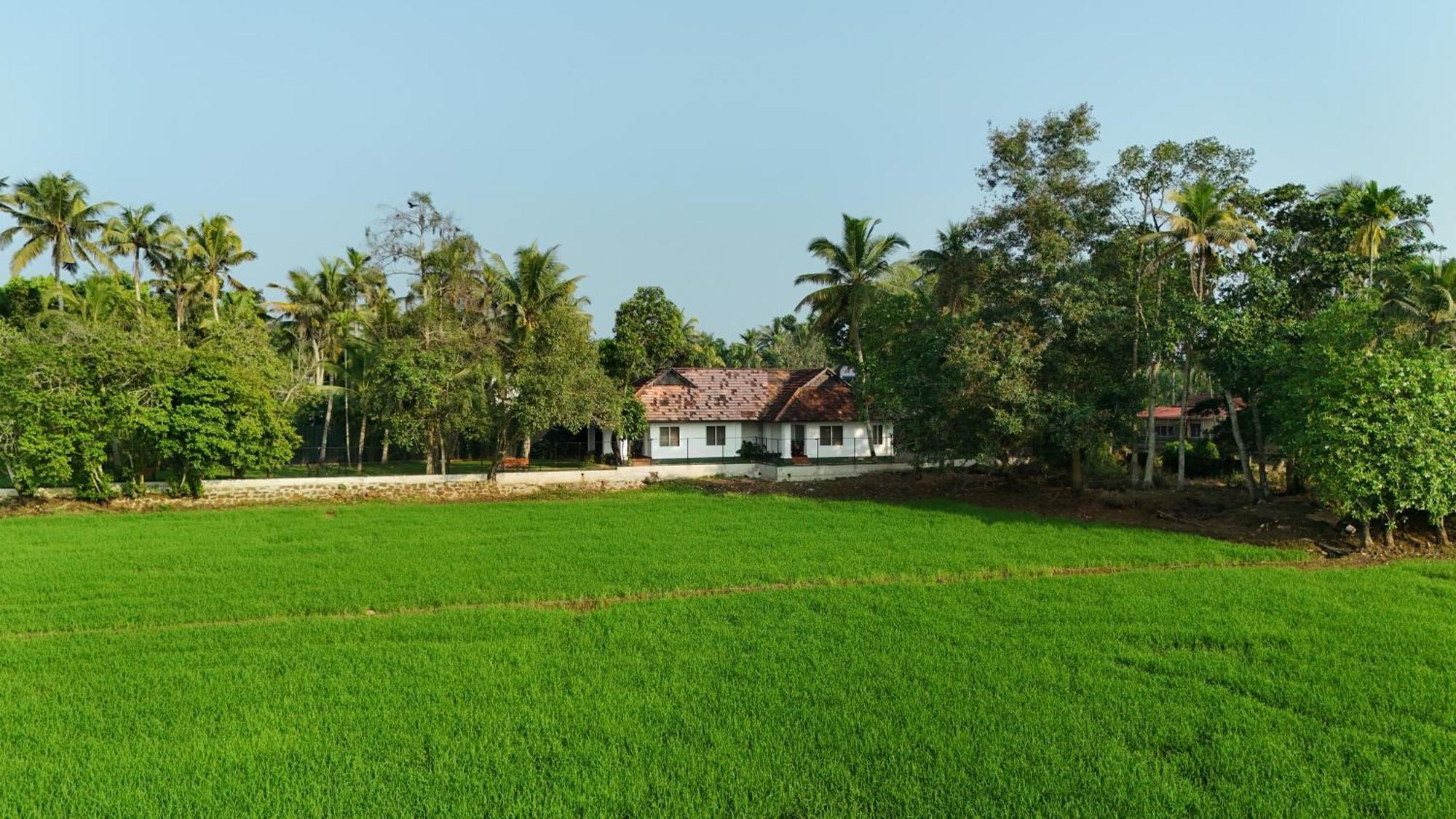Paadam By The Backwaters Kumarakom Exteriör bild